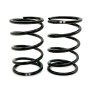 SWORKz GT Black Competition Shock Spring A2 (40x2.2x5.25) (GN) (2)