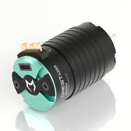 CAYOTE 1/8 CREST 4268 1900KV Brushless Motor