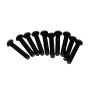 SWORKz M2x10mm Hex Socket OH/TP Screw - (10Pcs)