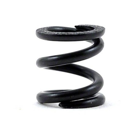 SWORKz S104 Center Slipper Clutch Spring