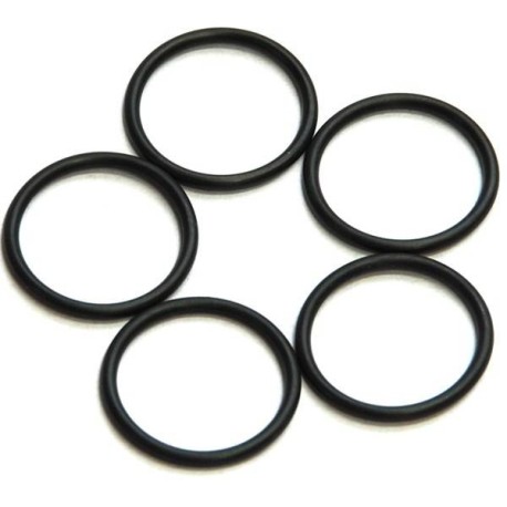 Alpha Plus Carburetor Insert O-Ring (6pc)