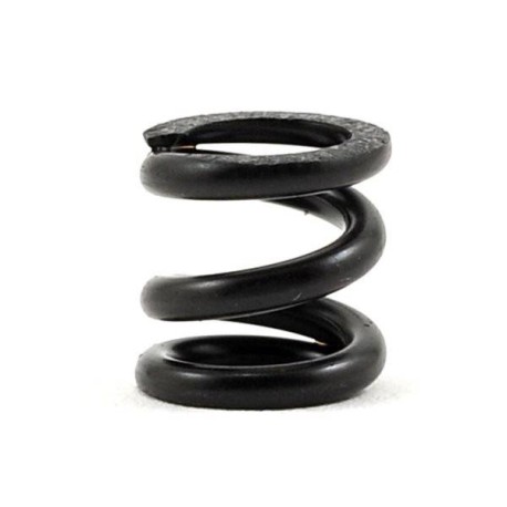 SWORKz S12-1 Slipper Clutch Spring